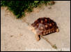Floyd2002