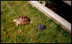 Floyd_Doyle2002