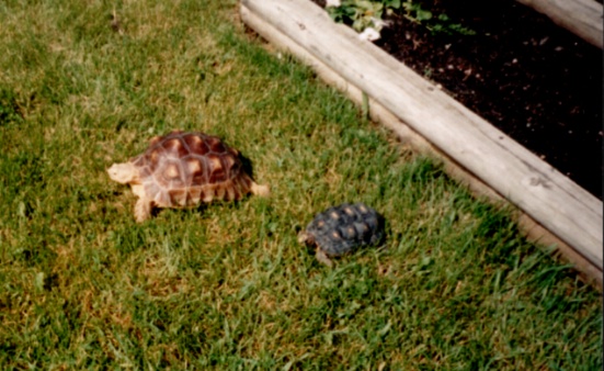 Floyd_Doyle2002