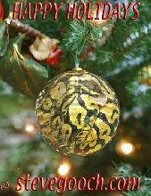 Xmas Ball
