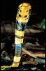 Forest cobra (Naja melanoleuca), Kakamega Forest, Kenya.