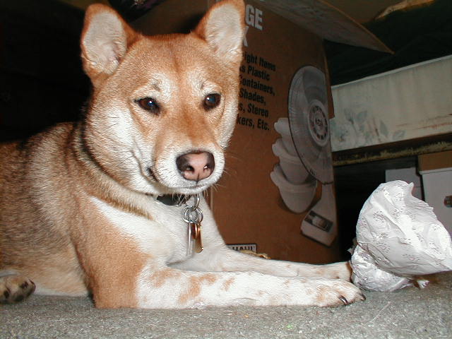 Aren't I cute?
