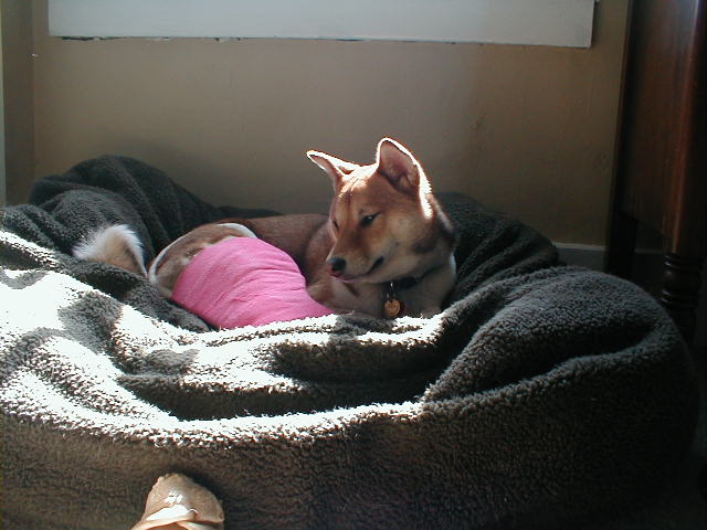 After post surgery