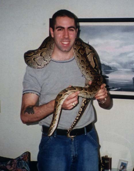 My african rock python