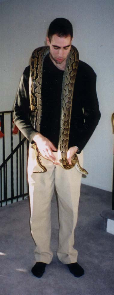 My African Rock python