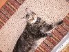 Ziggy Lookin' Up