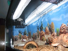 Light setup for the ball tank