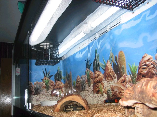 Light setup for the ball tank