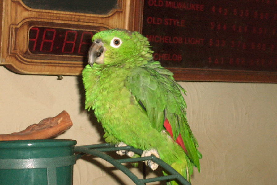 Abby