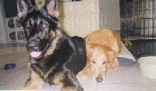 Raven and Tessa