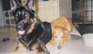 Raven and Tessa
