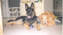 Rayray and Tessa