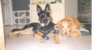 Rayray and Tessa