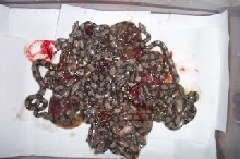 Baby Boas