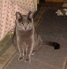 Amber - aren't I cute?