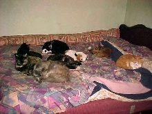We saved a space for mom, MOL