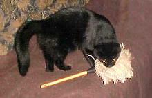 Bugg killing a "Big Burd"