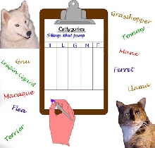 Cattygories game.