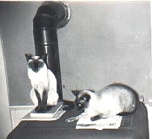 Miney and Baby 1953