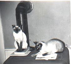 Miney and Baby 1953