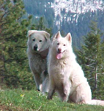Nickona and SnoFoxx