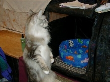 Whos Dere!!