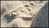 Buried Juvie