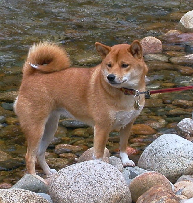 at lake