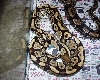 New Morph???