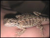 My New Baby