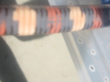 Unknown snake 2