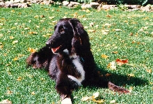 Anita in the sun