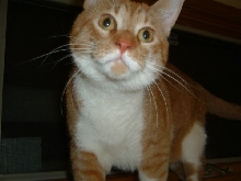 Henry