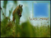 Website Layout #4