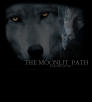 The Moonlit Path
