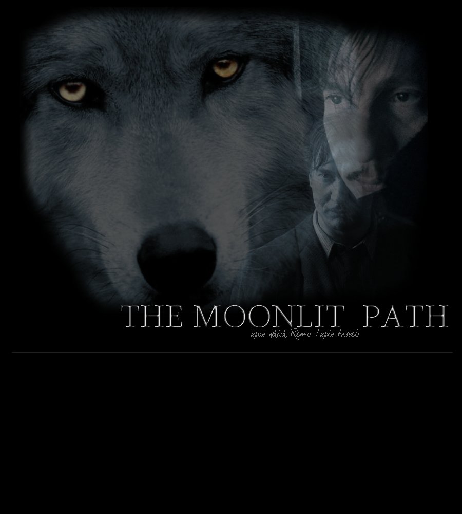 The Moonlit Path