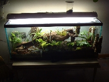 ebenaui enclosure