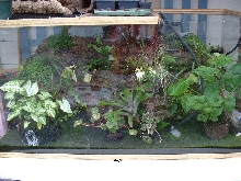 new enclosure