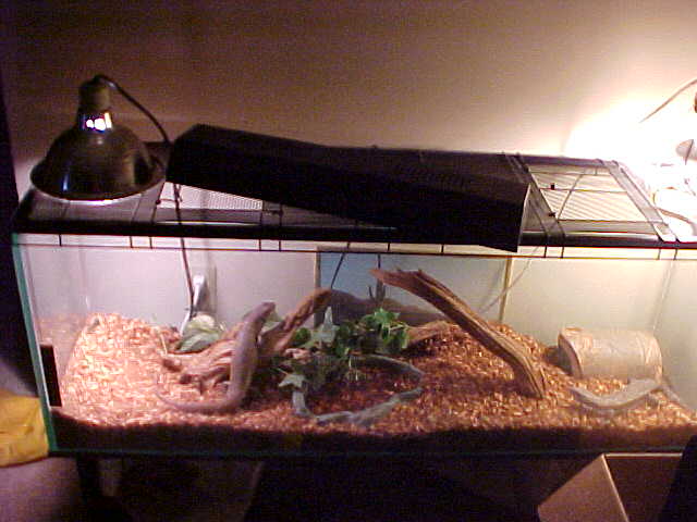 mack & lizfaces home