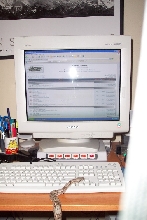 Surfin the net