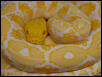 OW Retic