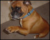 Tyson