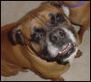 Tyson