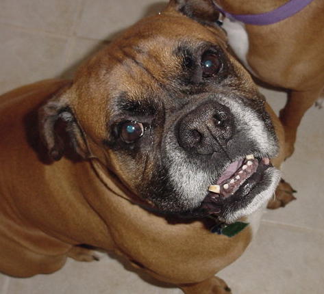 Tyson