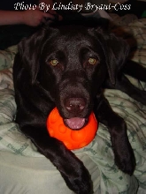 Lexi with Ball