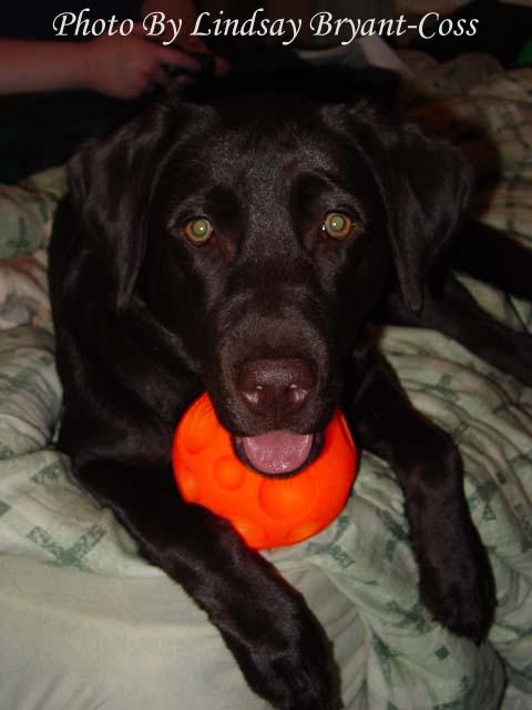 Lexi with Ball