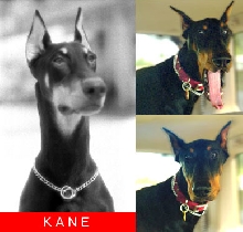 Kane