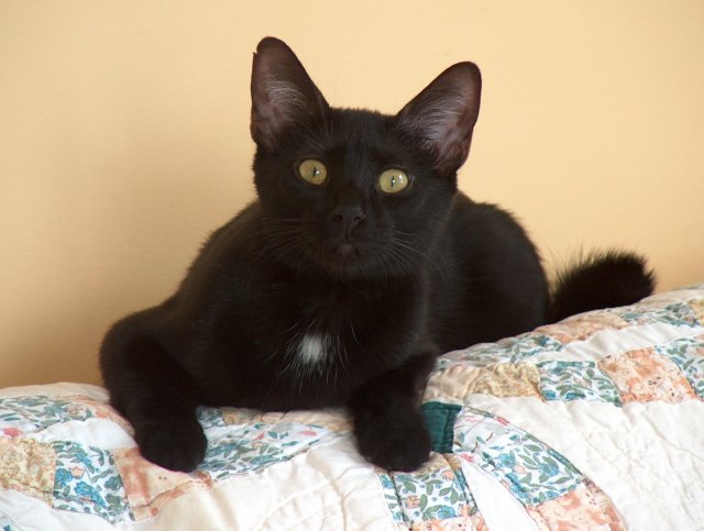Sadie sitting pretty