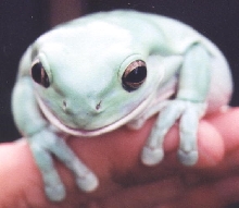 check out the eyes..