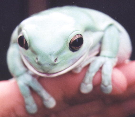 check out the eyes..